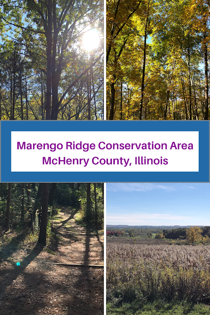 Dancing Fall Colors at Marengo Ridge Conservation Area in McHenry County, Illinois