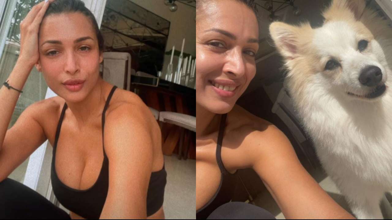 Actors Gossips: Malaika Arora sets the internet ablaze in a sports bra, sneaks a selfie with hera canine