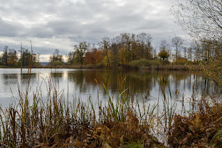 Naturfotografie Schwielowsee Havel Schloss Petzow