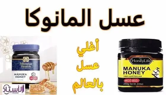 Benefits-of-Manuka-Honey-Strength-550