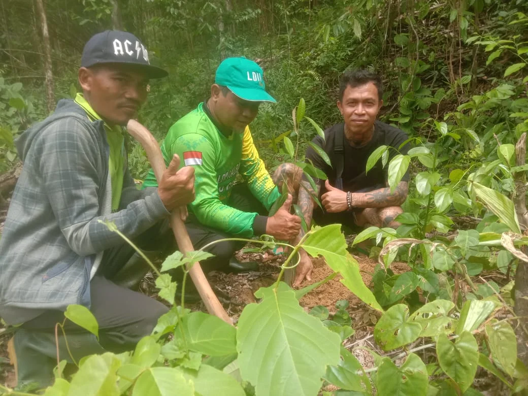 LDII  Bersama Panglima Jilah Tanam 1000 Pohon di Riam Bukit Raya Sambora,