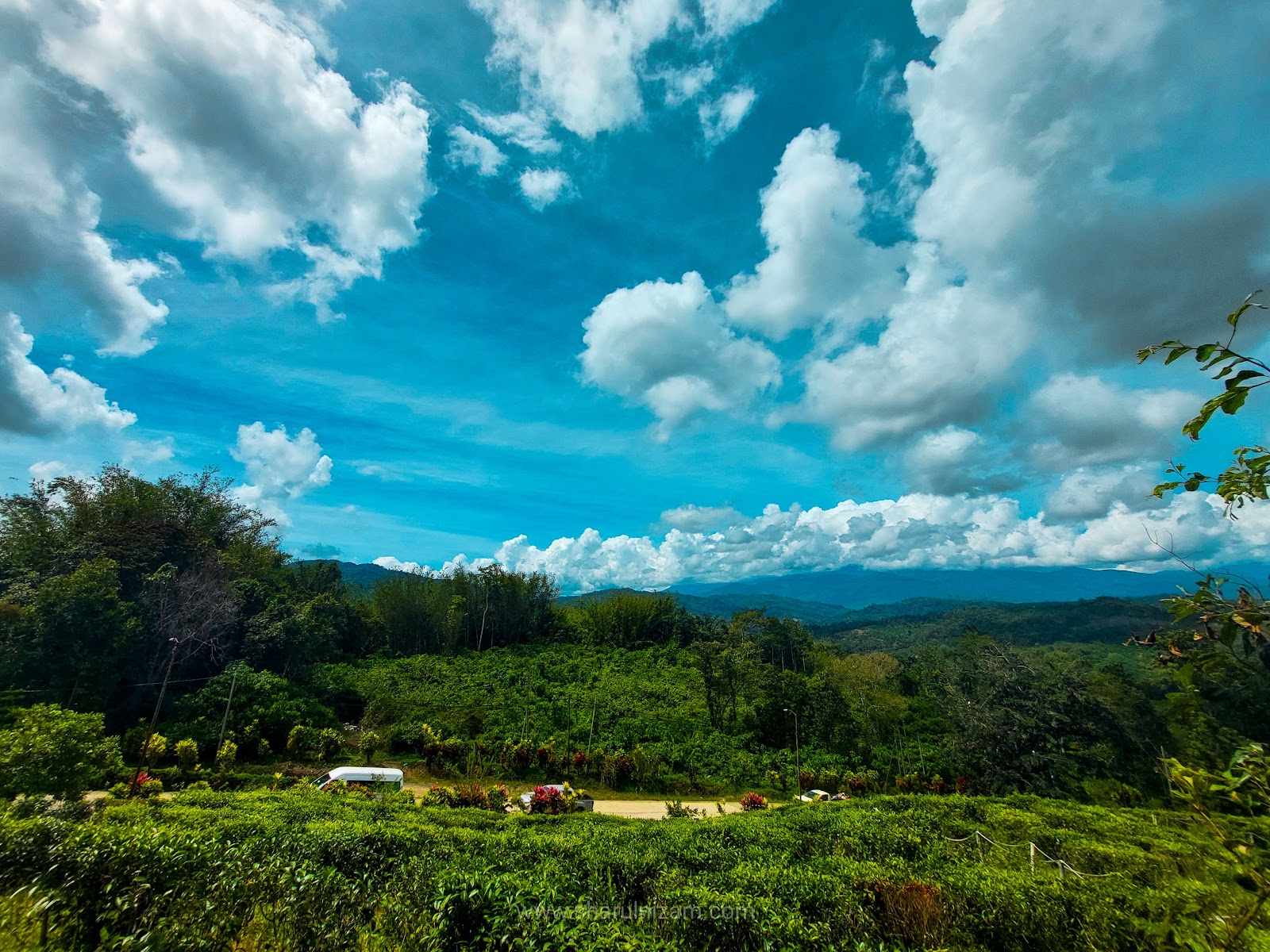 Makan Scones Di Sabah Tea Garden, Ranau