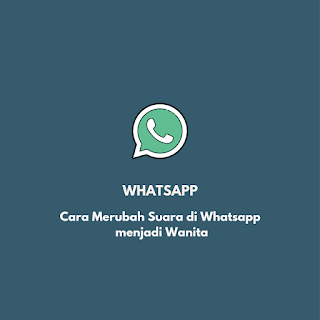 Cara Merubah Suara di Whatsapp Menjadi Wanita