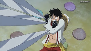 ワンピースアニメ WCI編 798話 ルフィ かっこいい Monkey D. Luffy | ONE PIECE Episode 798