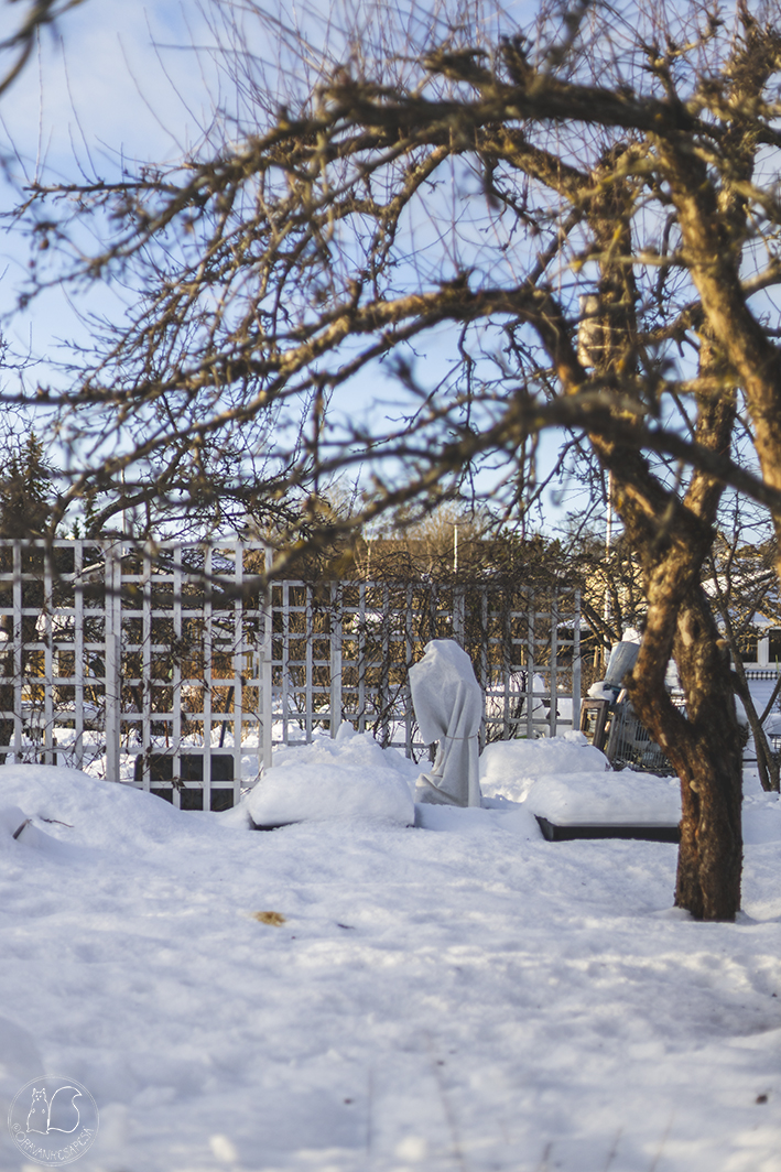 Oravankesäpesä siirtolapuutarha puutarha lumi potager viljelylaatikko kasvatuslaatikko lavankaulusköynnöstuki