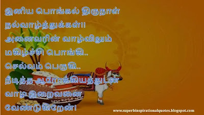 Pongal wishes in Tamil 15