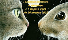 Галерея котиков и кроликов