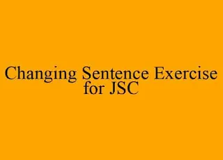 Changing Sentence Exercise for JSC