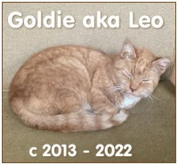 Remembering Goldie/Leo