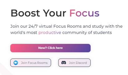 study stream focus room