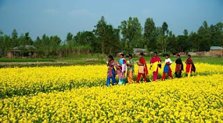 চির চেনা এই দেশ মুক্তারুল ইসলাম মুক্তার