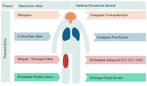 Spektrum sindrom pascarawat intensif.