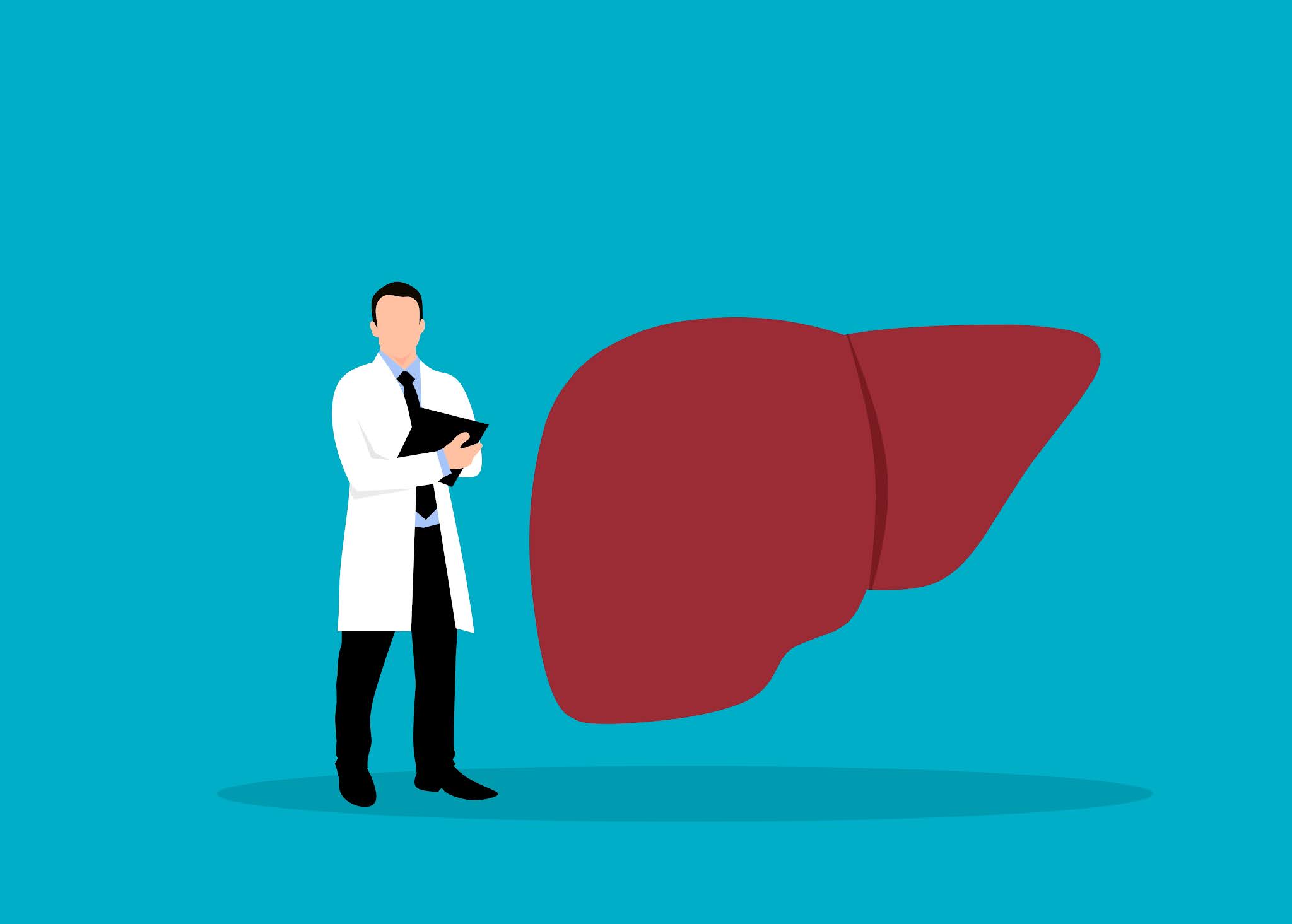 Liver examination graphic design