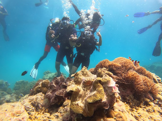 Experience Professional Scuba diving in the Andaman Islands