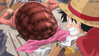 ワンピースアニメ 776話 ペコムズ カメカメの実 | ONE PIECE Episode 776