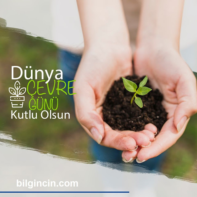 Dünya Çevre Günü