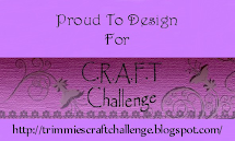 CRAFT Challenge