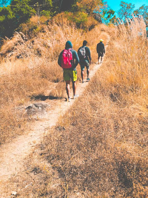 munnar trekking