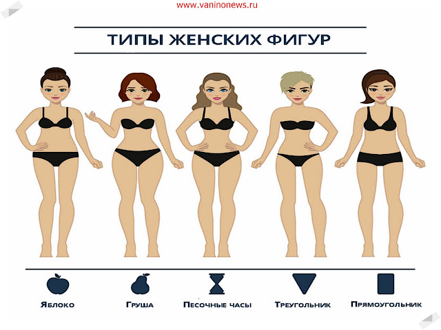 Типы женской фигуры www.vaninonews.ru