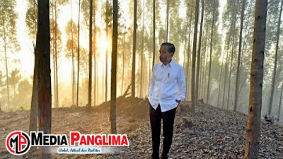 Jokowi Pastikan IKN Nusantara Sebagai Kota Hutan dan Hijau