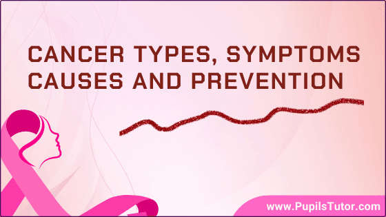 What Is Cancer? - What Are The Causes Of Cancer? | Cancer -  Sign And Symptoms, Prevention | 5 Types Of Cancer |  6 Characteristics Of Cancer Cells - www.pupilstutor.com