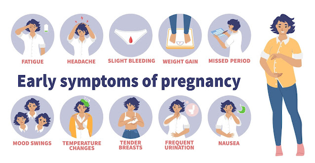 Early signs of pregnancy