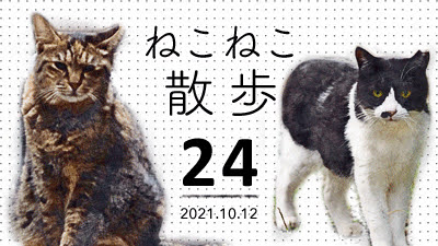ねこねこ散歩☆MOVIE（24）