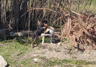 Xena and Louise having a play