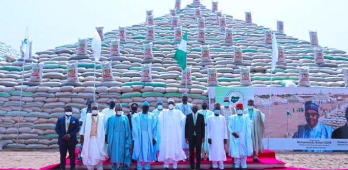 Your Rice Pyramid Is A Sham - PDP Tells Buhari, APC