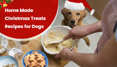 Home Made Christmas Treats Recipes For Dogs