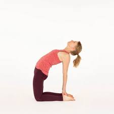 Camel Pose or Ustrasana