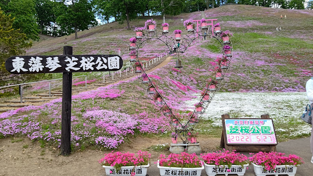 北海道 ひがしもこと芝桜公園 ピンクの鳥居 山津見神社