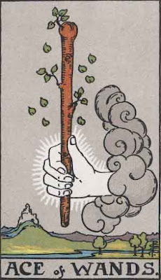 Ace of Wands reading.