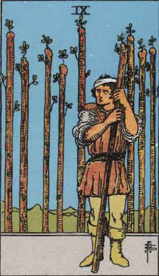 Nine of Wands reading.