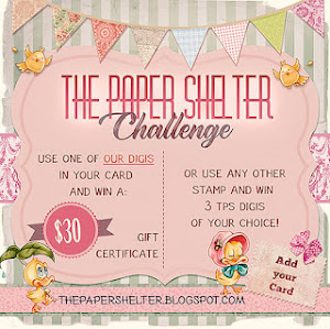 The Paper Shelter Challenge Blog