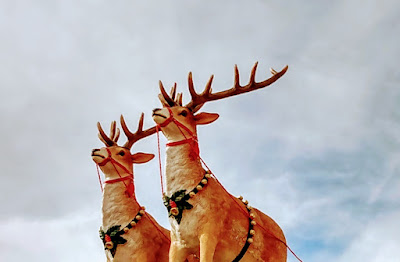 Pretty Christmas deer 2021 las cruces