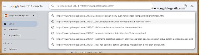 cara verifikasi google search console agar website terdeteksi google fitur google search console fungsi google search console