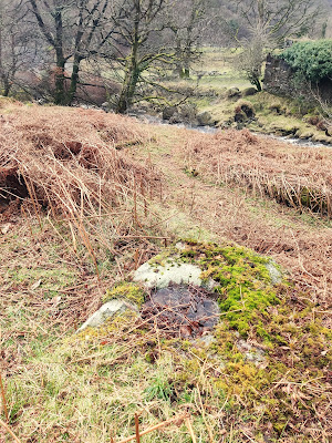 Bullaun Stone, Glendalough