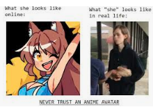 Top 25 Anime PFP Memes, Best Funny Photos for Your PFP Meme anime