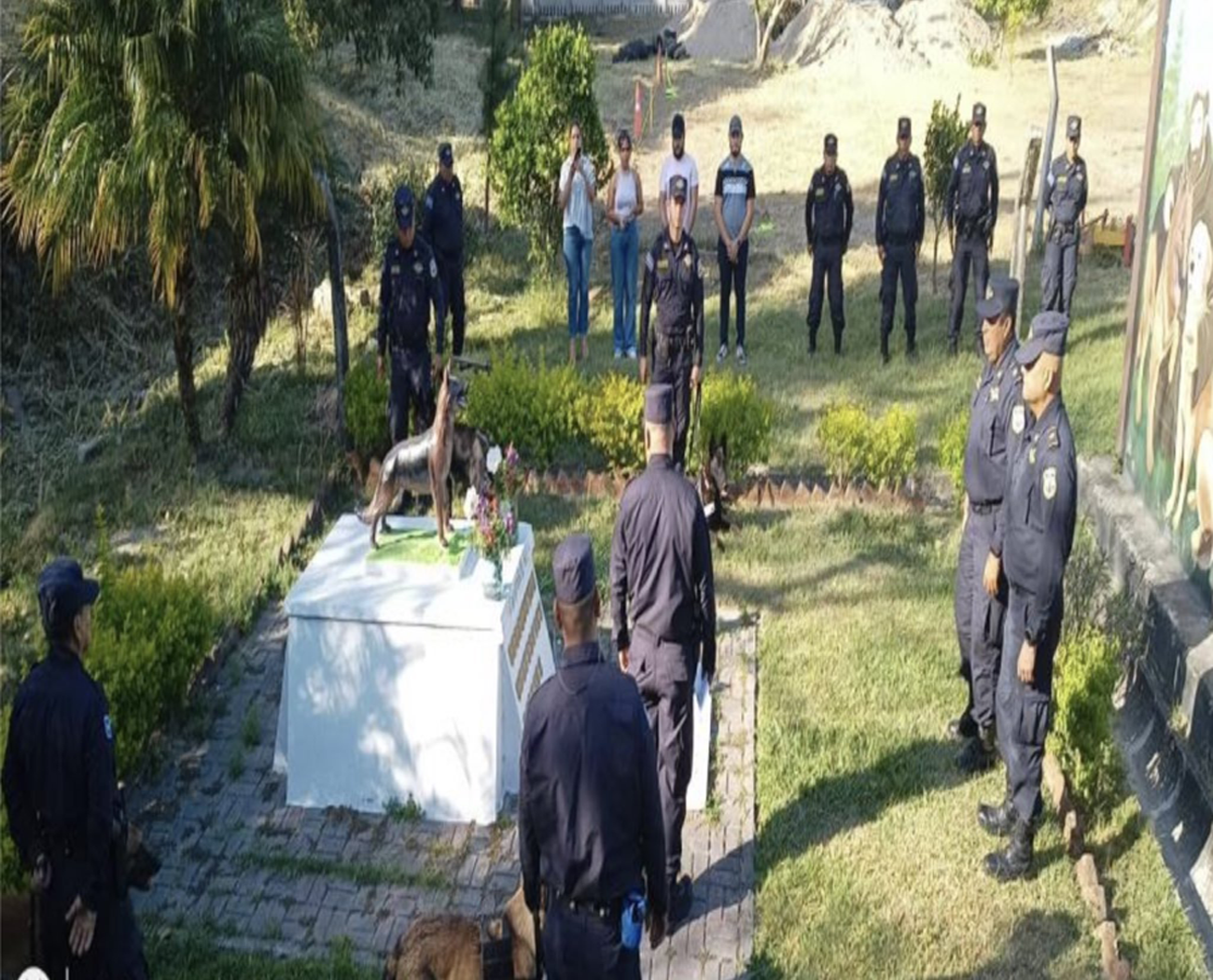 El Salvador: Él era el «Jerry», agente canino que fue enterrado tras perder la vida
