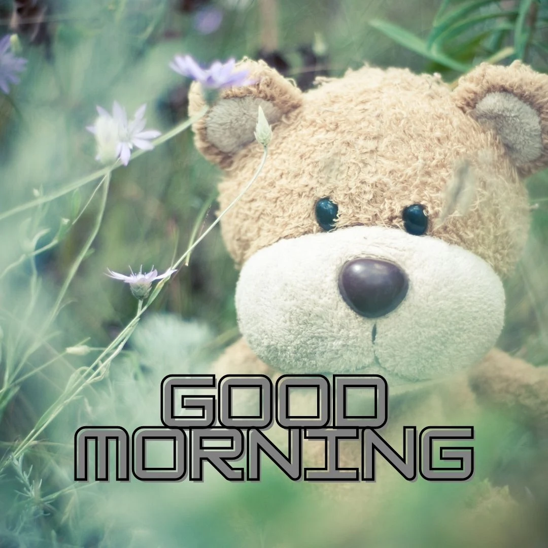 its image having tedy bear white and ice creame colour.its looking very cutie and background nature photo