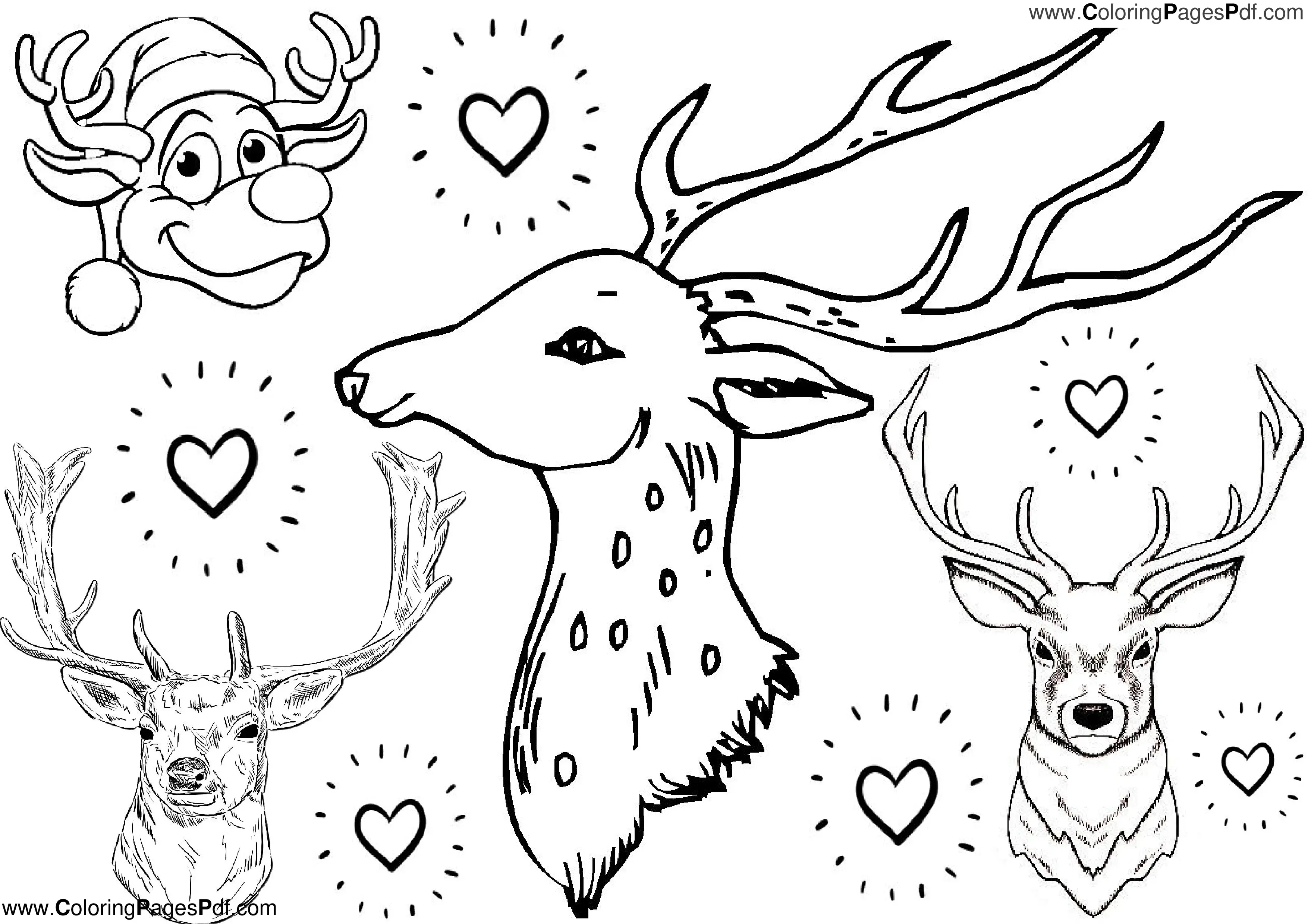 Reindeer Face coloring pages