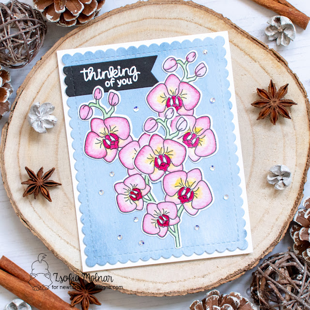 Thinking of You card by Zsofia Molnar | Orchids Stamp Set, Banner Trio Die Set and Frames & Flags Die Set by Newton's Nook Designs