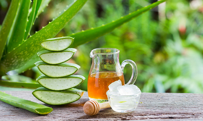 Aloe for Immunity: Juice Benefits, Cooking Recipes, Contraindications and Precautions