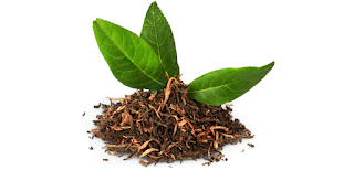 top 10 surprising health benefits of green tea