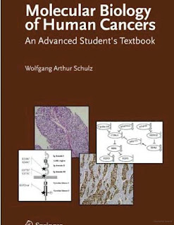 Molecular Biology of Human Cancers An Advanced Students Textbook