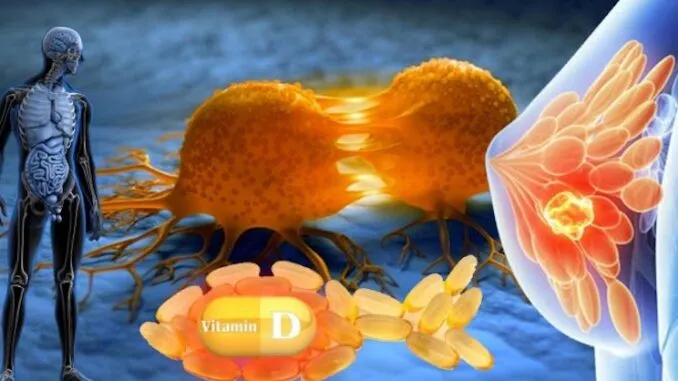 Estudos confirmam que vitamina D combate todas as formas de câncer