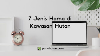 7 Jenis Hama di Kawasan Hutan