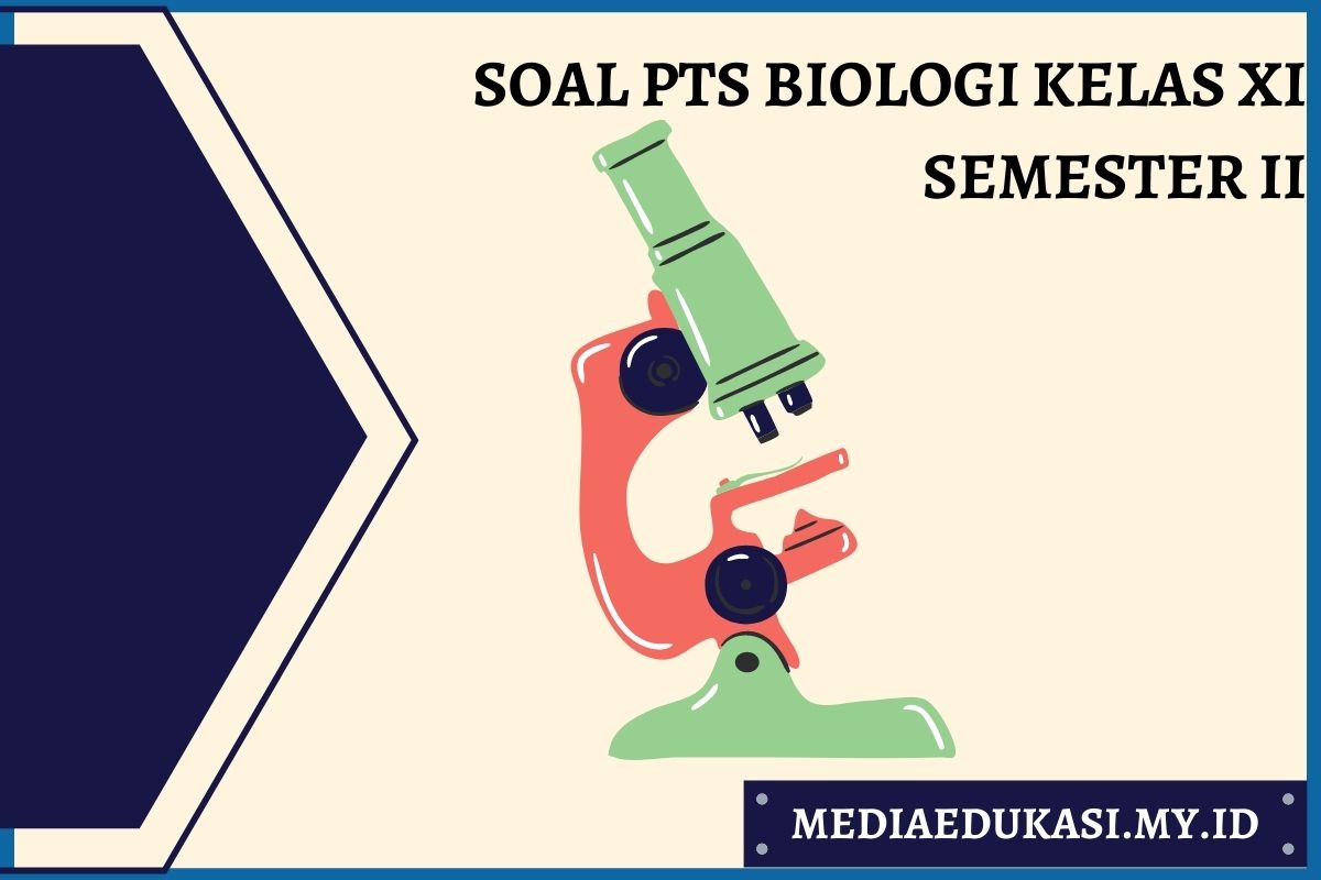 Soal PTS Biologi Kelas 11 Semester 2 dan Kunci Jawaban Media Edukasi