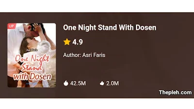 Novel One Night Stand With Dosen